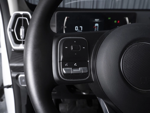 Great Wall Poer King Kong