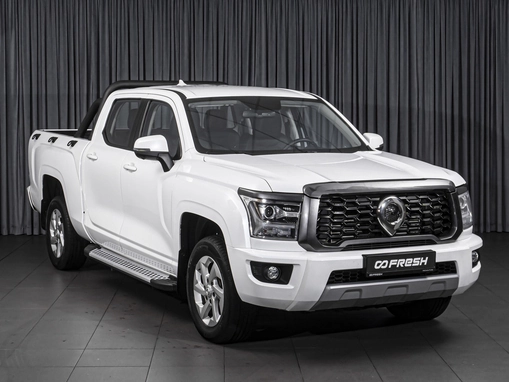 Great Wall Poer King Kong