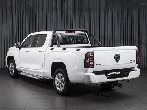 Great Wall Poer King Kong