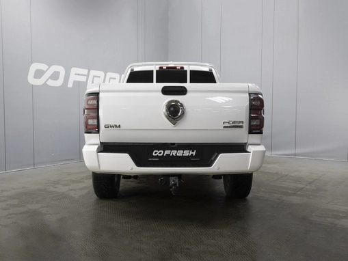 Great Wall Poer King Kong