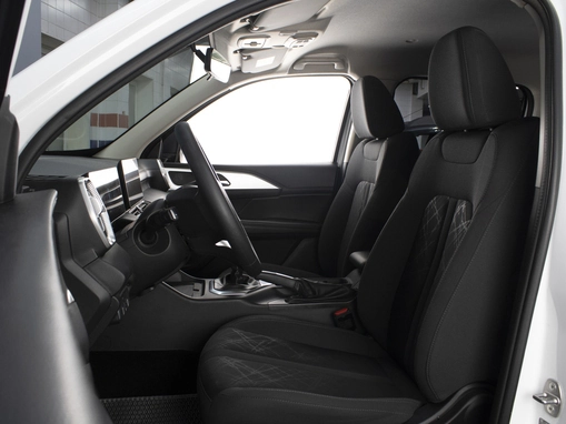 Great Wall Poer King Kong