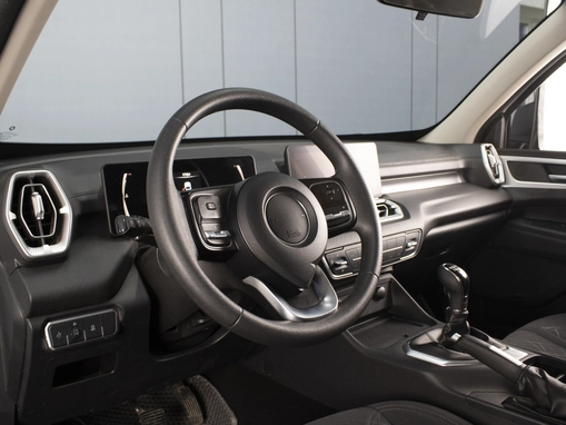 Great Wall Poer King Kong