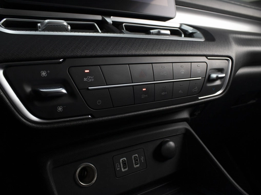 Great Wall Poer King Kong