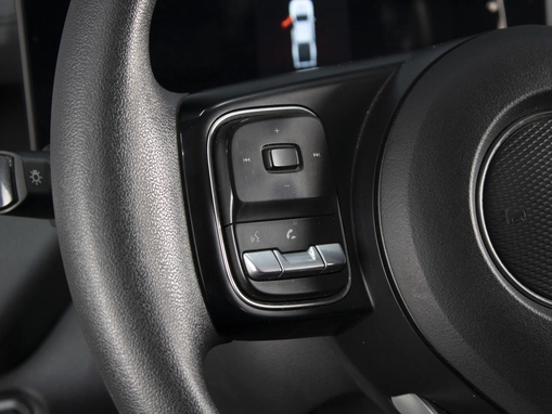 Great Wall Poer King Kong