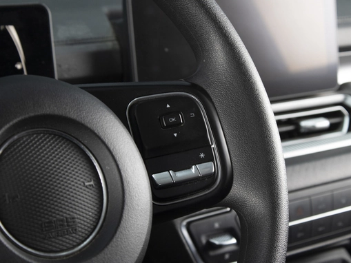 Great Wall Poer King Kong